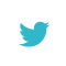 Twitter icon
